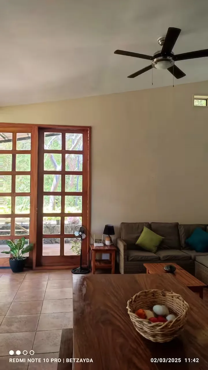 Lounge with ceiling fan and garden views